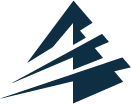 Capstone Logo Graphic
