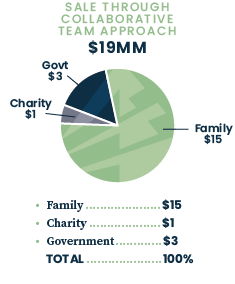 Pie Chart - Sale through collaborative team approach